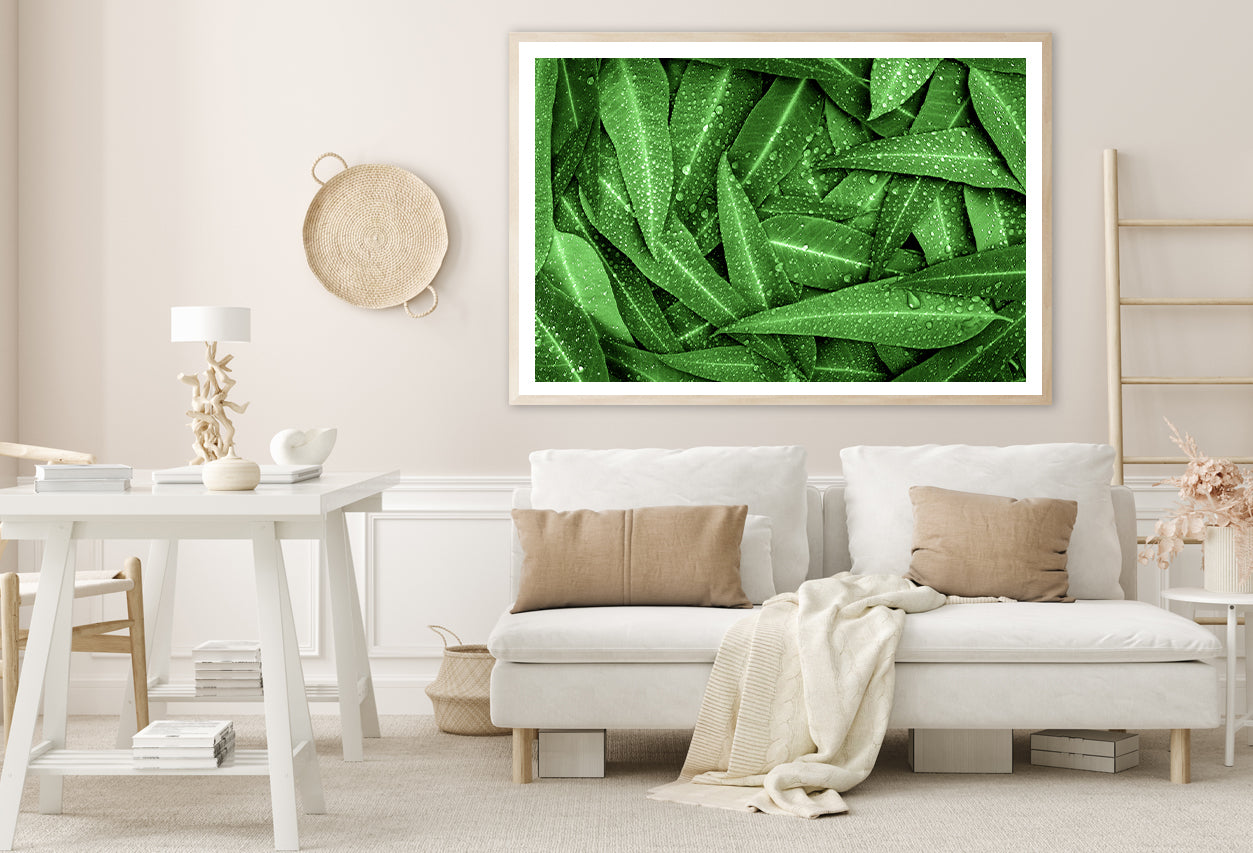 Water Droplets on Bunch of Leaves Home Decor Premium Quality Poster Print Choose Your Sizes