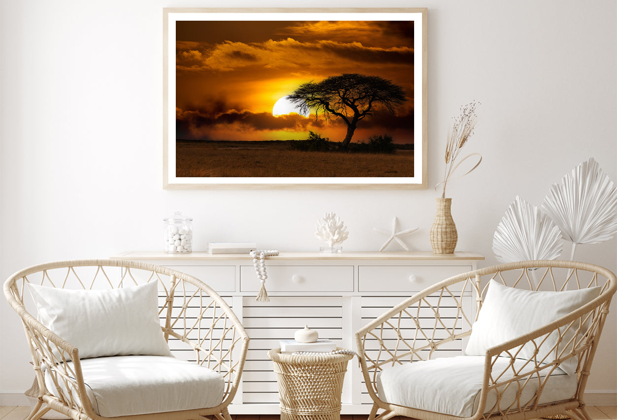 Sunset in Africa Over Acacia Tree Home Decor Premium Quality Poster Print Choose Your Sizes