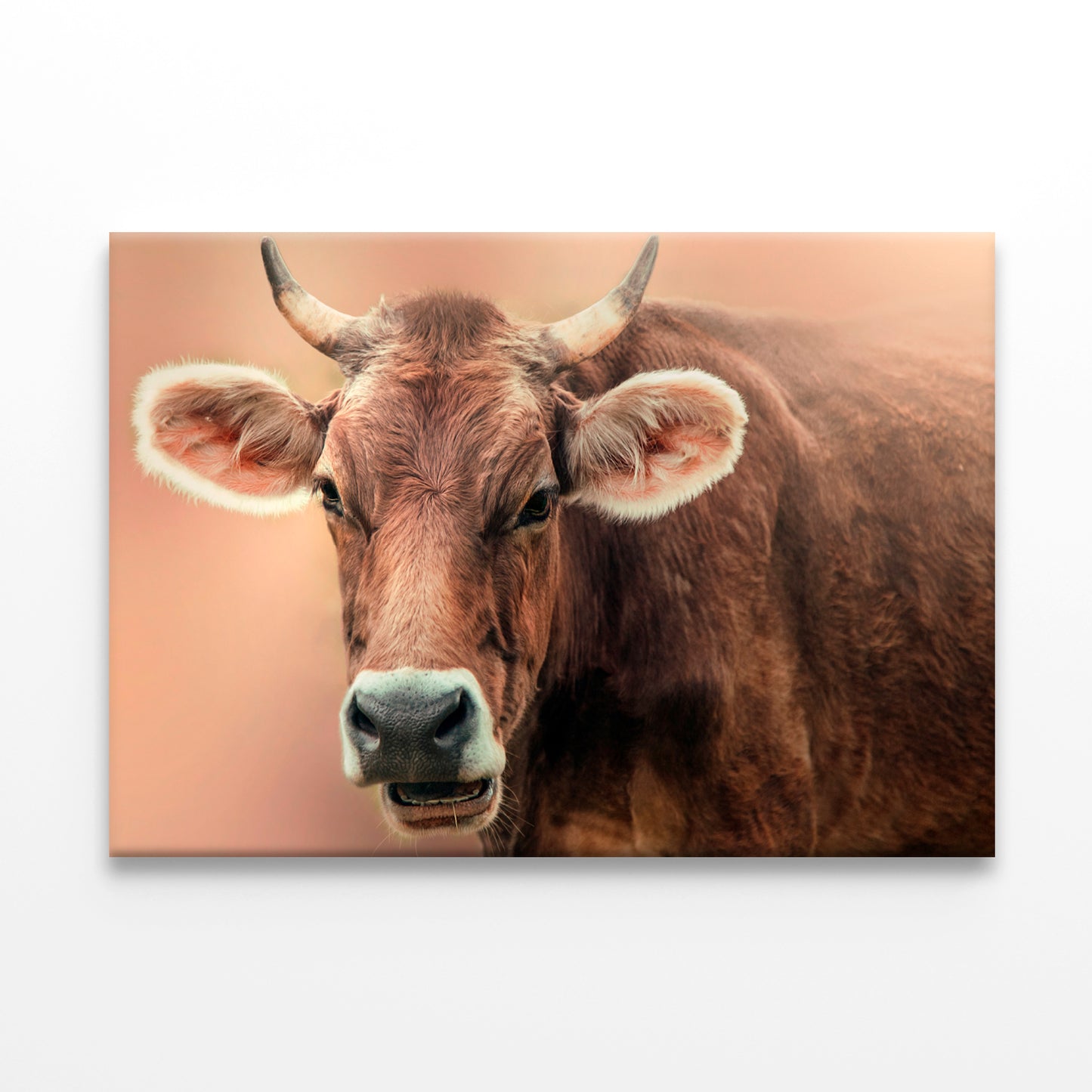 Portrait of Cow in the Forest Wall Art Decor 100% Australian Made