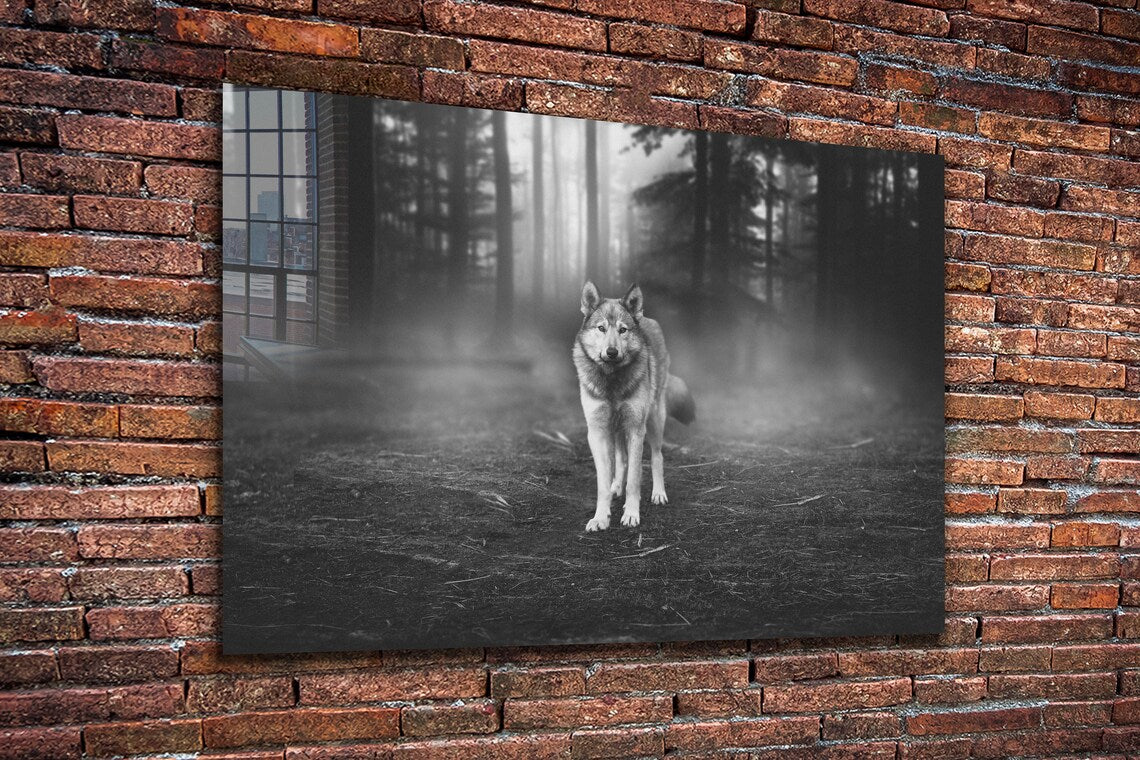 Wolf in Forest B&W UV Direct Aluminum Print Australian Made Quality