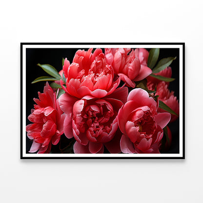 Group of Garden Roses with Leaves Home Decor Premium Quality Poster Print Choose Your Sizes