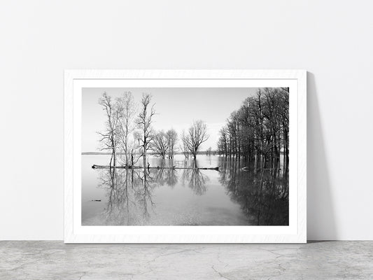 B&W Landscape Flood In Forest Glass Framed Wall Art, Ready to Hang Quality Print With White Border White