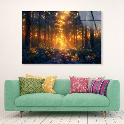 Forest with the Bright Sun Shining Acrylic Glass Print Tempered Glass Wall Art 100% Made in Australia Ready to Hang