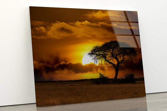 Sunset in Africa Over Acacia Tree Acrylic Glass Print Tempered Glass Wall Art 100% Made in Australia Ready to Hang