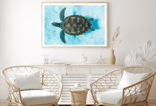 Green Sea Turtle Swimming Home Decor Premium Quality Poster Print Choose Your Sizes