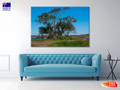 A Tree Standing In a Field on an Autumn Day Print 100% Australian Made