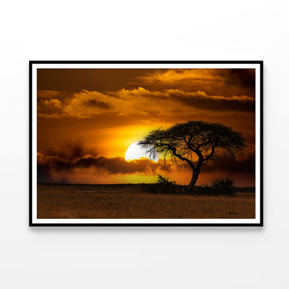 Sunset in Africa Over Acacia Tree Home Decor Premium Quality Poster Print Choose Your Sizes