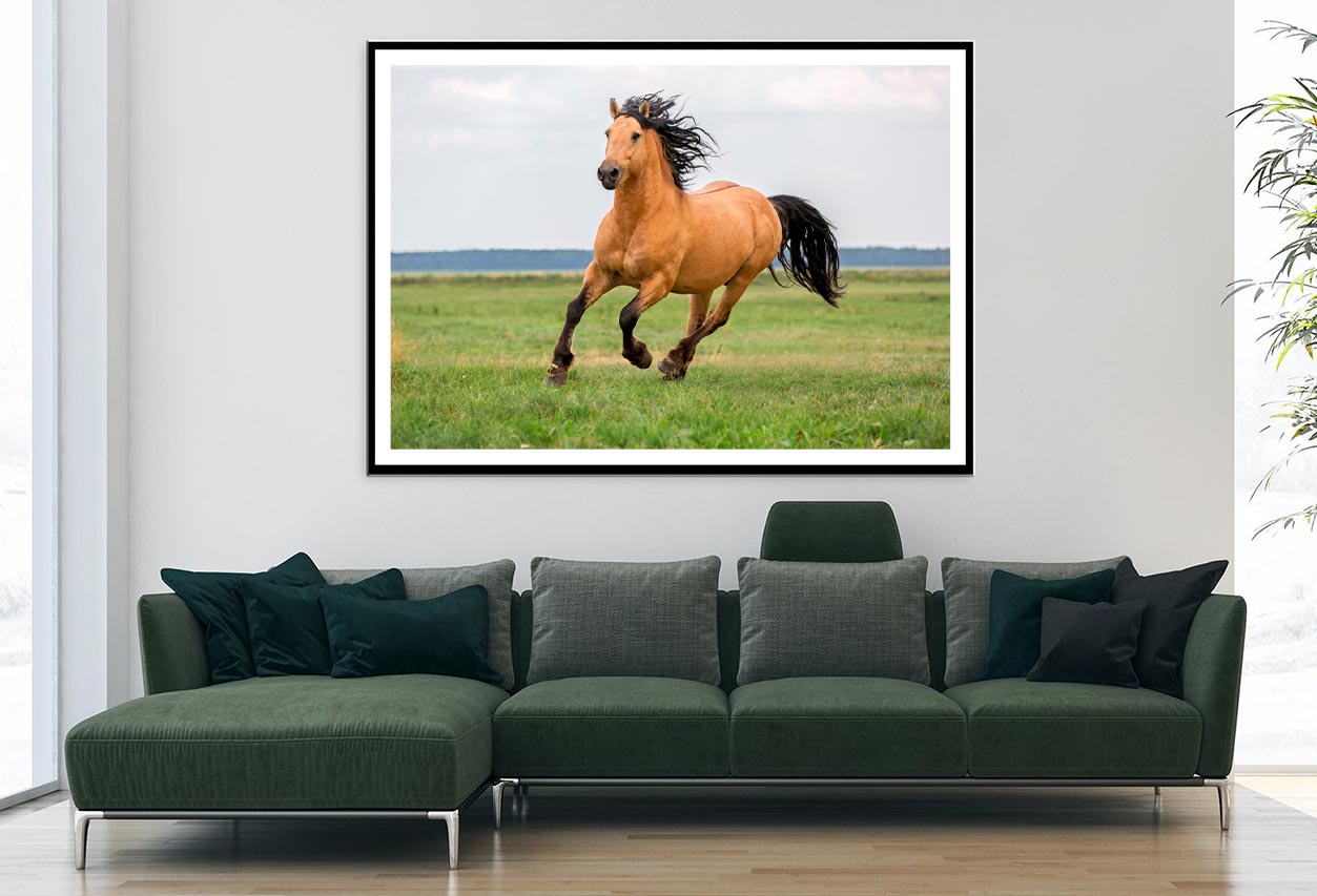 Horse Running in A Field with A Sky Background Home Decor Premium Quality Poster Print Choose Your Sizes