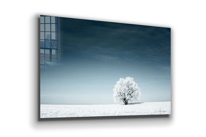 Snow Covered Alone Tree UV Direct Aluminum Print Australian Made Quality