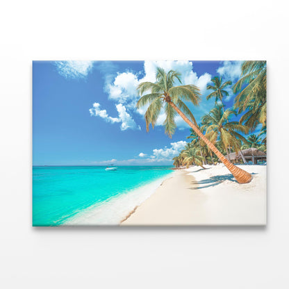 Palm And Tropical Beach in Punta Cana, Dominican Republic Acrylic Glass Print Tempered Glass Wall Art 100% Made in Australia Ready to Hang