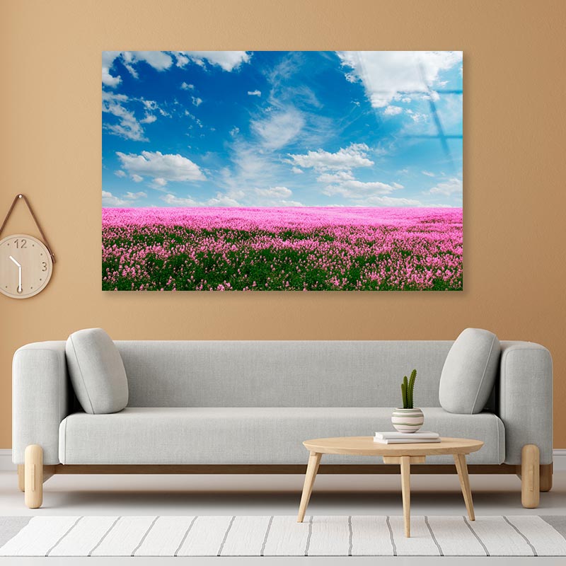 Spring Pink Flower Field Acrylic Glass Print Tempered Glass Wall Art 100% Made in Australia Ready to Hang