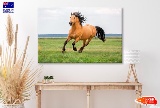 Horse Running in A Field with A Sky Background Wall Art Decor 100% Australian Made