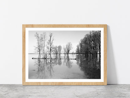 B&W Landscape Flood In Forest Glass Framed Wall Art, Ready to Hang Quality Print With White Border Oak