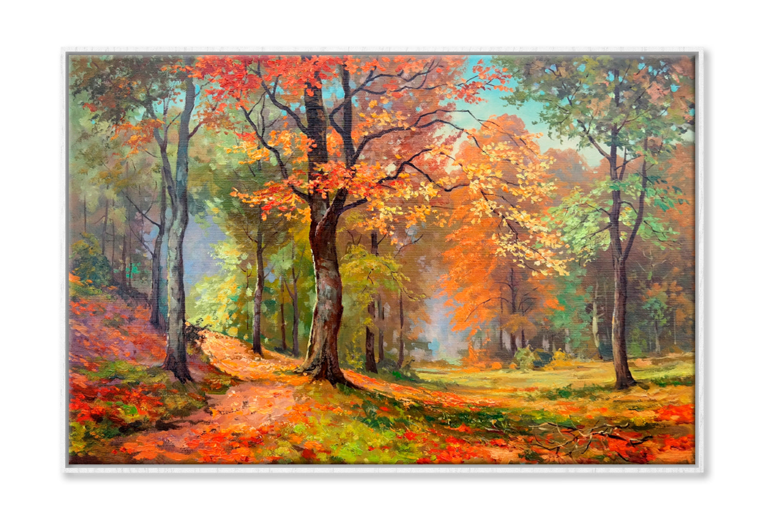 Trees With Colorful Foliage In Sun Oil Painting Wall Art Limited Edition High Quality Print Canvas Box Framed White