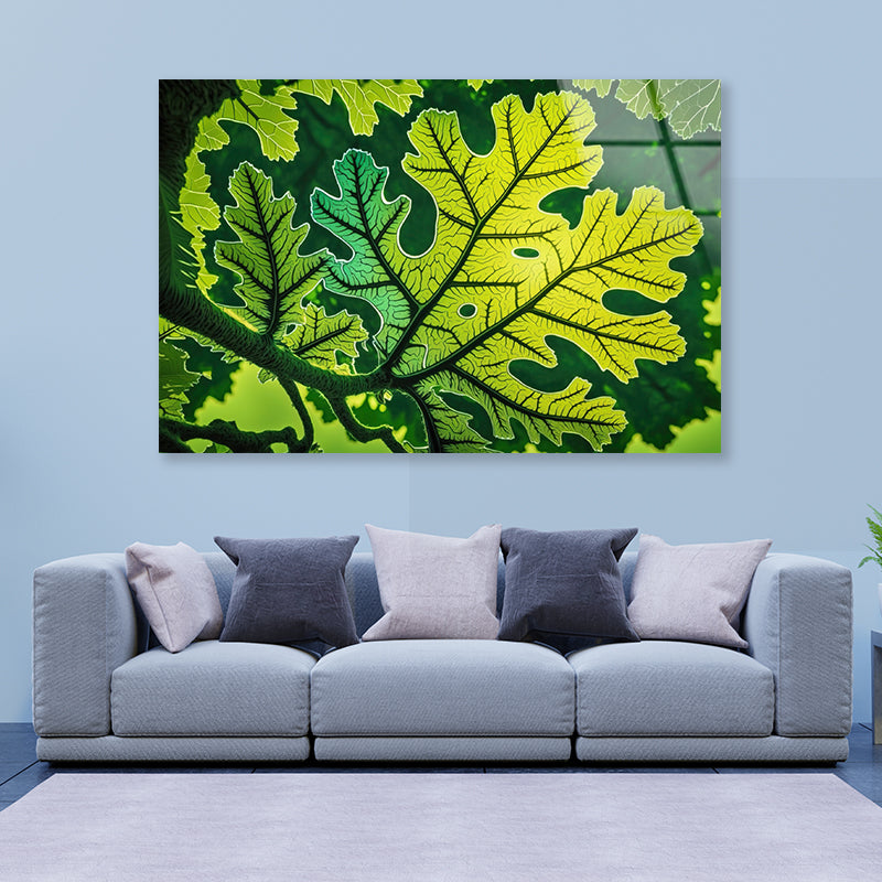 Close-Up Photo of A Green Leaf Acrylic Glass Print Tempered Glass Wall Art 100% Made in Australia Ready to Hang