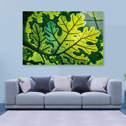 Close-Up Photo of A Green Leaf Acrylic Glass Print Tempered Glass Wall Art 100% Made in Australia Ready to Hang