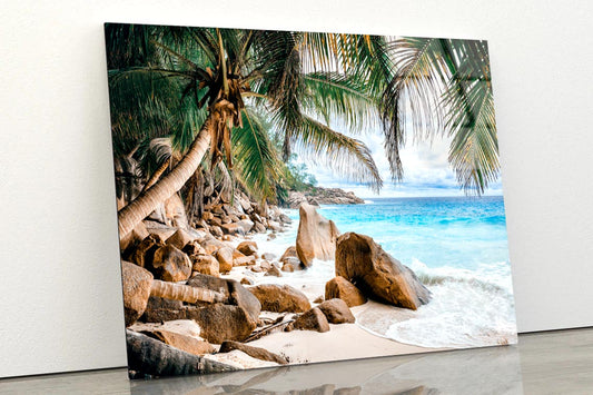 Rocks And Palm Trees Along the Shore Acrylic Glass Print Tempered Glass Wall Art 100% Made in Australia Ready to Hang