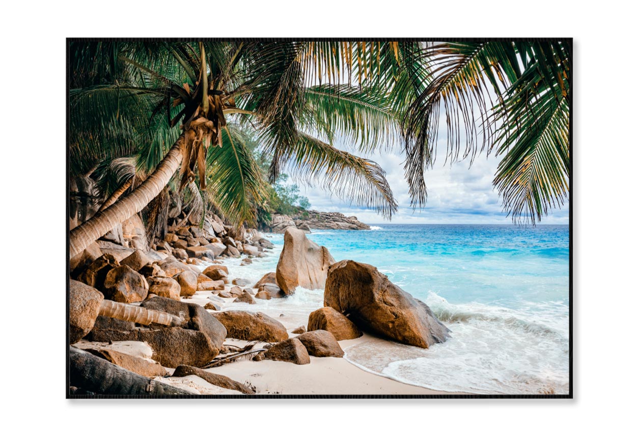 Rocks And Palm Trees Along the Shore Home Decor Premium Quality Poster Print Choose Your Sizes