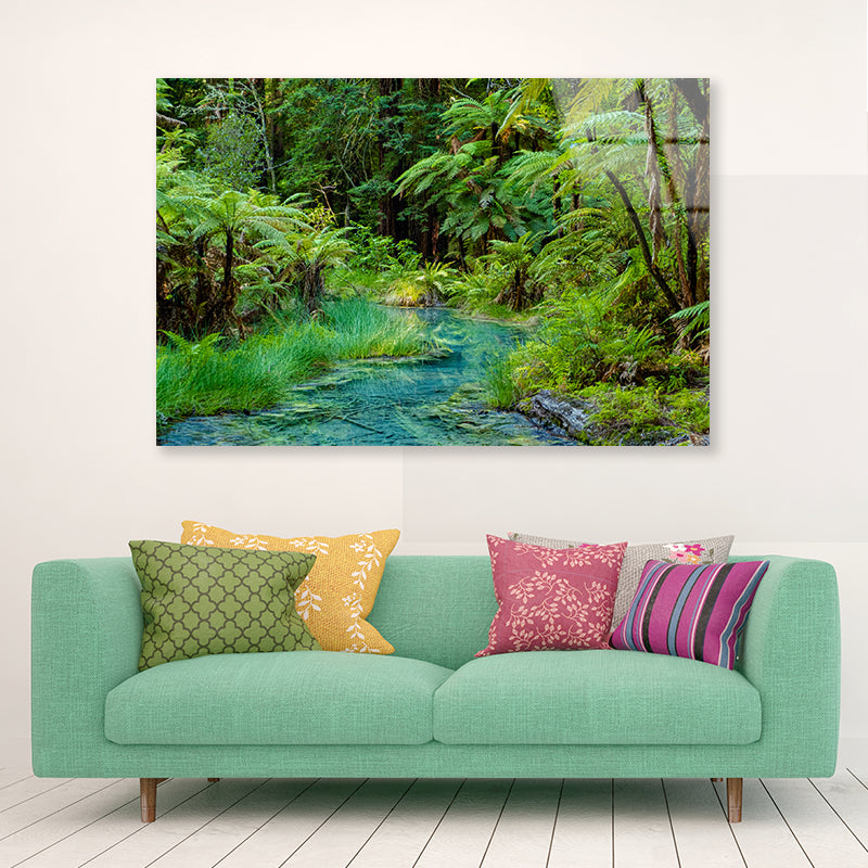 River in Whakarewarewa Forest Acrylic Glass Print Tempered Glass Wall Art 100% Made in Australia Ready to Hang