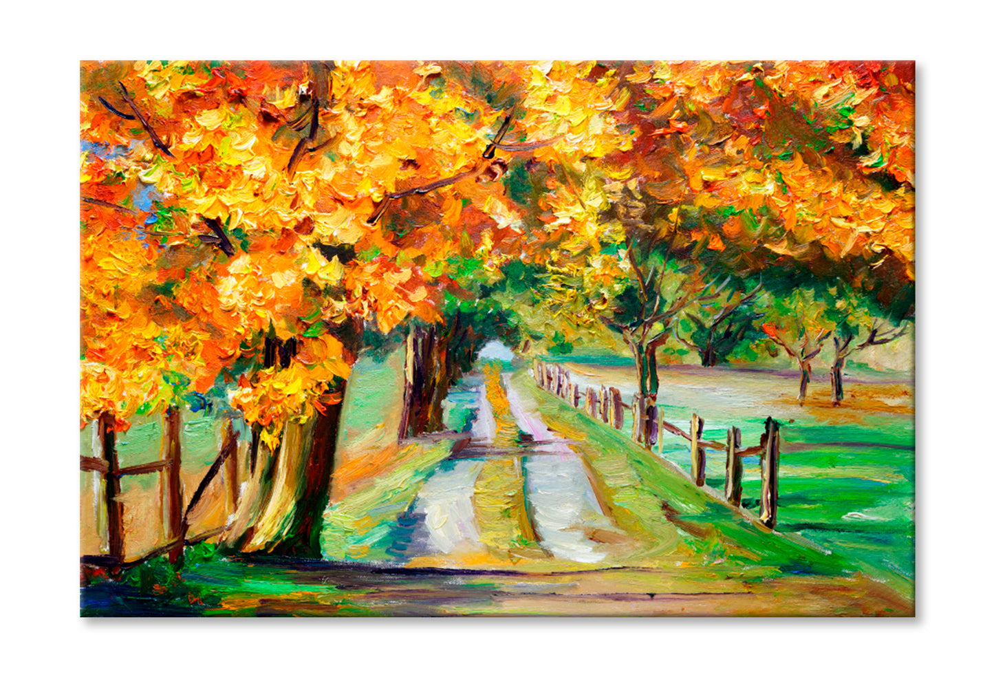 Country Road With Maple Oil Painting Wall Art Limited Edition High Quality Print Stretched Canvas None