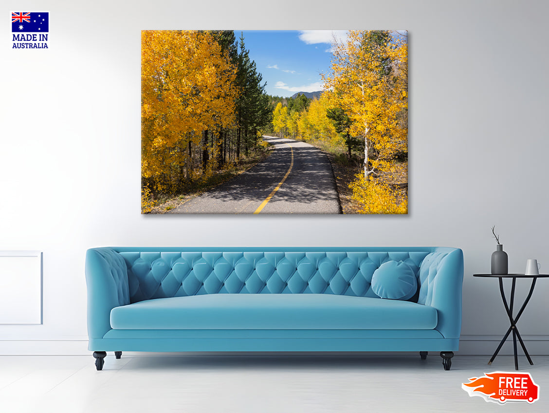 Yellow Aspens Trees in Colorado Print 100% Australian Made