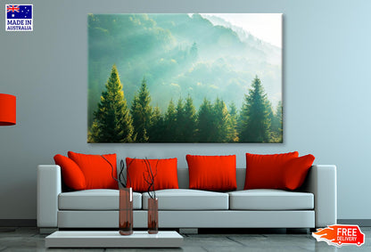 Wonderful Nature Background with Sunlight Wall Art Decor 100% Australian Made