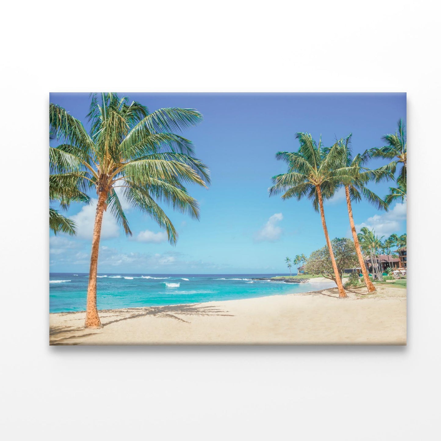 Palm Trees on The Sandy Beach in Hawaii Acrylic Glass Print Tempered Glass Wall Art 100% Made in Australia Ready to Hang