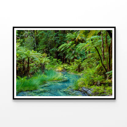 River in Whakarewarewa Forest Home Decor Premium Quality Poster Print Choose Your Sizes