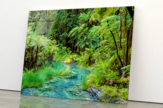 River in Whakarewarewa Forest Acrylic Glass Print Tempered Glass Wall Art 100% Made in Australia Ready to Hang