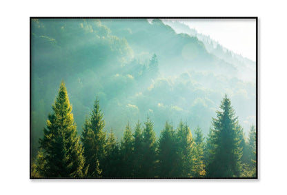 Wonderful Nature Background with Sunlight Home Decor Premium Quality Poster Print Choose Your Sizes