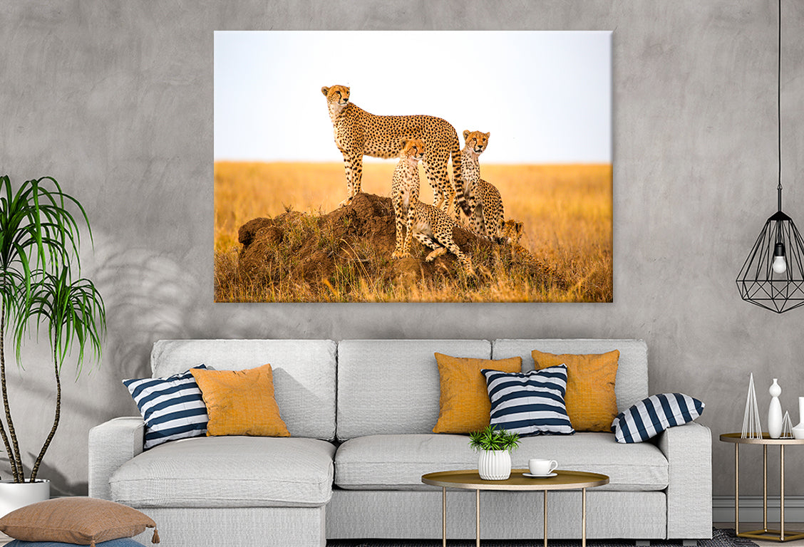 Cheetahs Watching Prey Park Tanzania Wall Art Decor 100% Australian Made