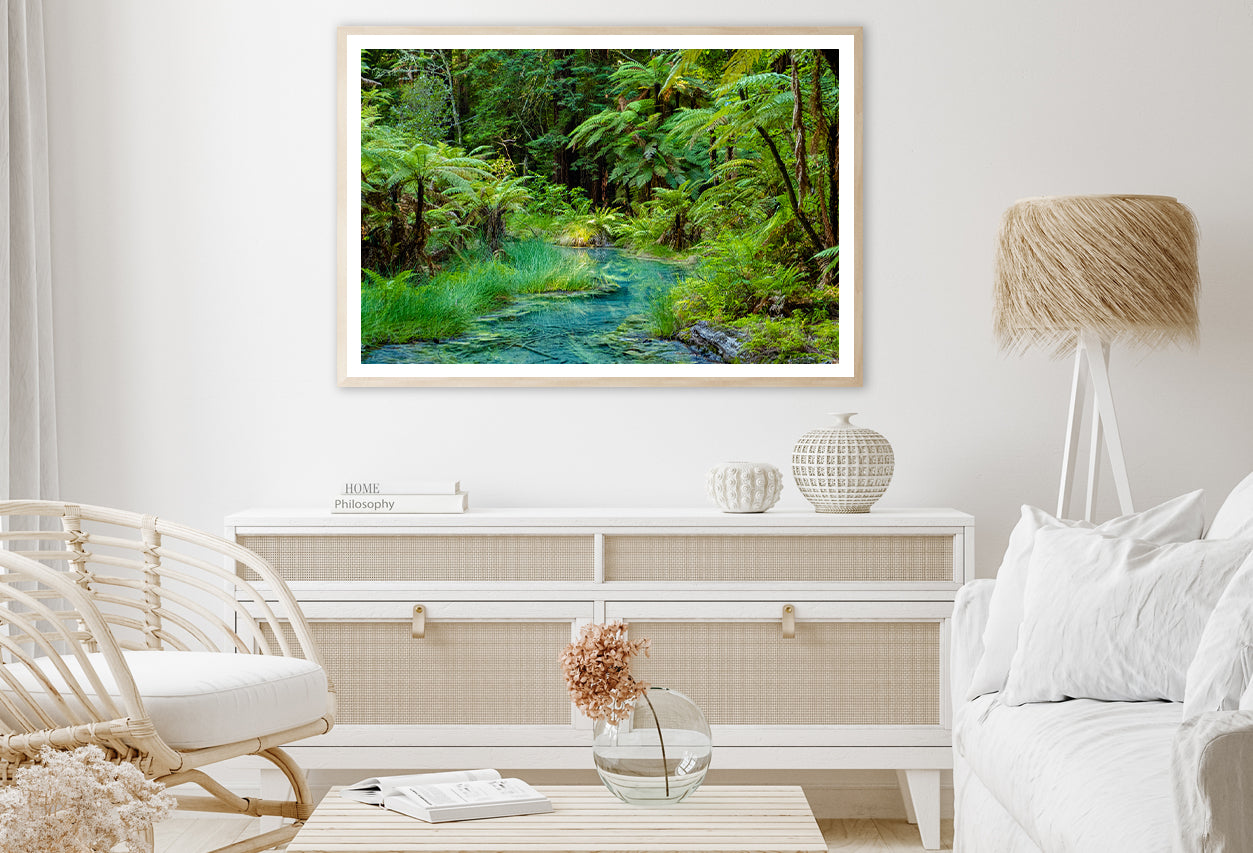 River in Whakarewarewa Forest Home Decor Premium Quality Poster Print Choose Your Sizes