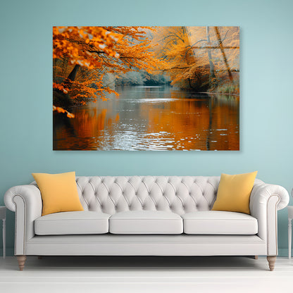 View of River Surrounded By Trees Acrylic Glass Print Tempered Glass Wall Art 100% Made in Australia Ready to Hang