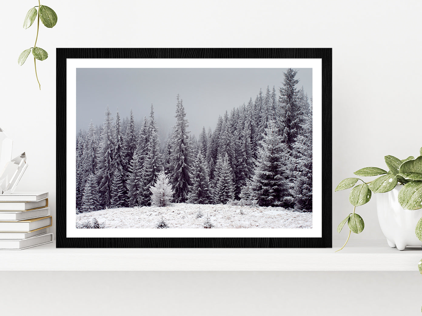 Trees Covered With Fresh Snow Glass Framed Wall Art, Ready to Hang Quality Print With White Border Black