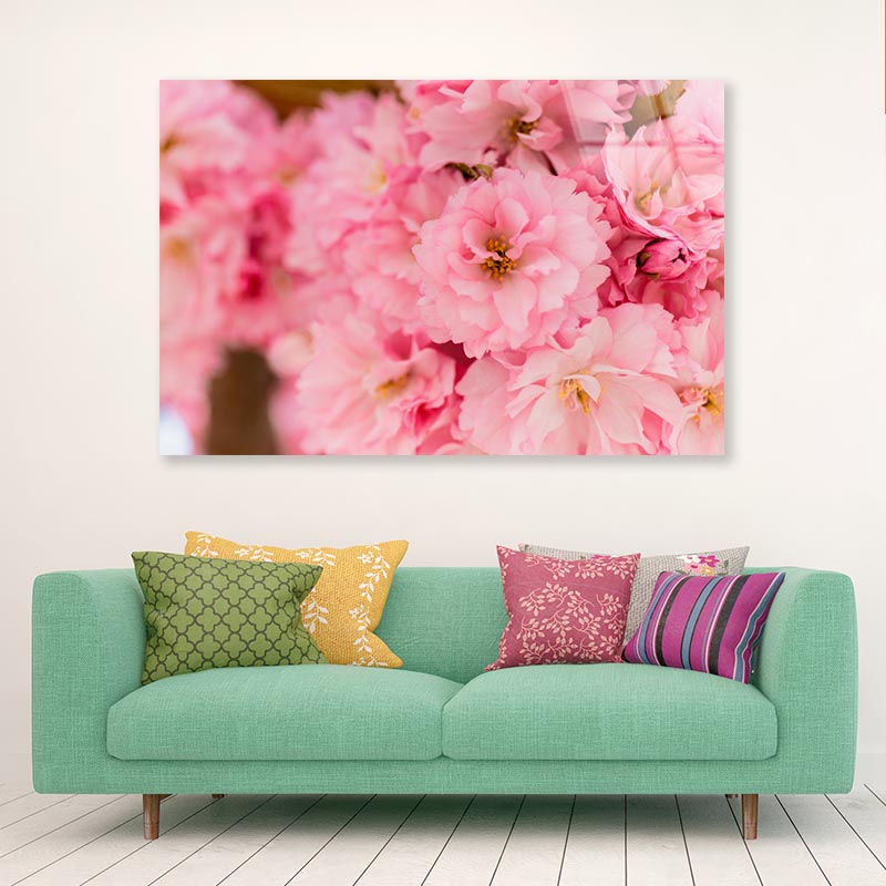 Blossoming Pink Flowers Acrylic Glass Print Tempered Glass Wall Art 100% Made in Australia Ready to Hang