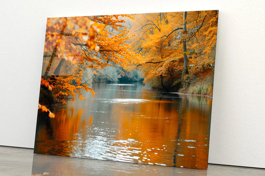 View of River Surrounded By Trees Acrylic Glass Print Tempered Glass Wall Art 100% Made in Australia Ready to Hang