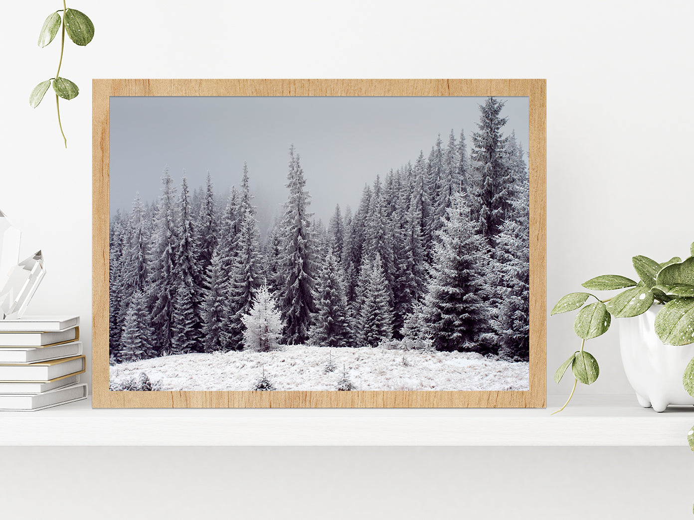 Trees Covered With Fresh Snow Glass Framed Wall Art, Ready to Hang Quality Print Without White Border Oak