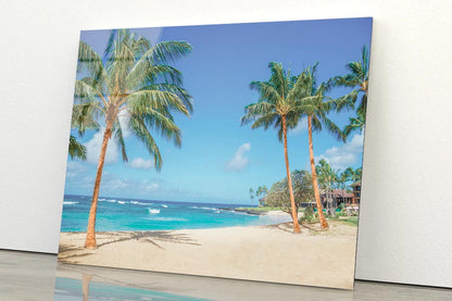 Palm Trees on The Sandy Beach in Hawaii Acrylic Glass Print Tempered Glass Wall Art 100% Made in Australia Ready to Hang