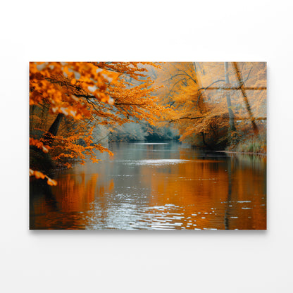 View of River Surrounded By Trees Acrylic Glass Print Tempered Glass Wall Art 100% Made in Australia Ready to Hang