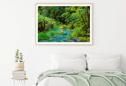 River in Whakarewarewa Forest Home Decor Premium Quality Poster Print Choose Your Sizes