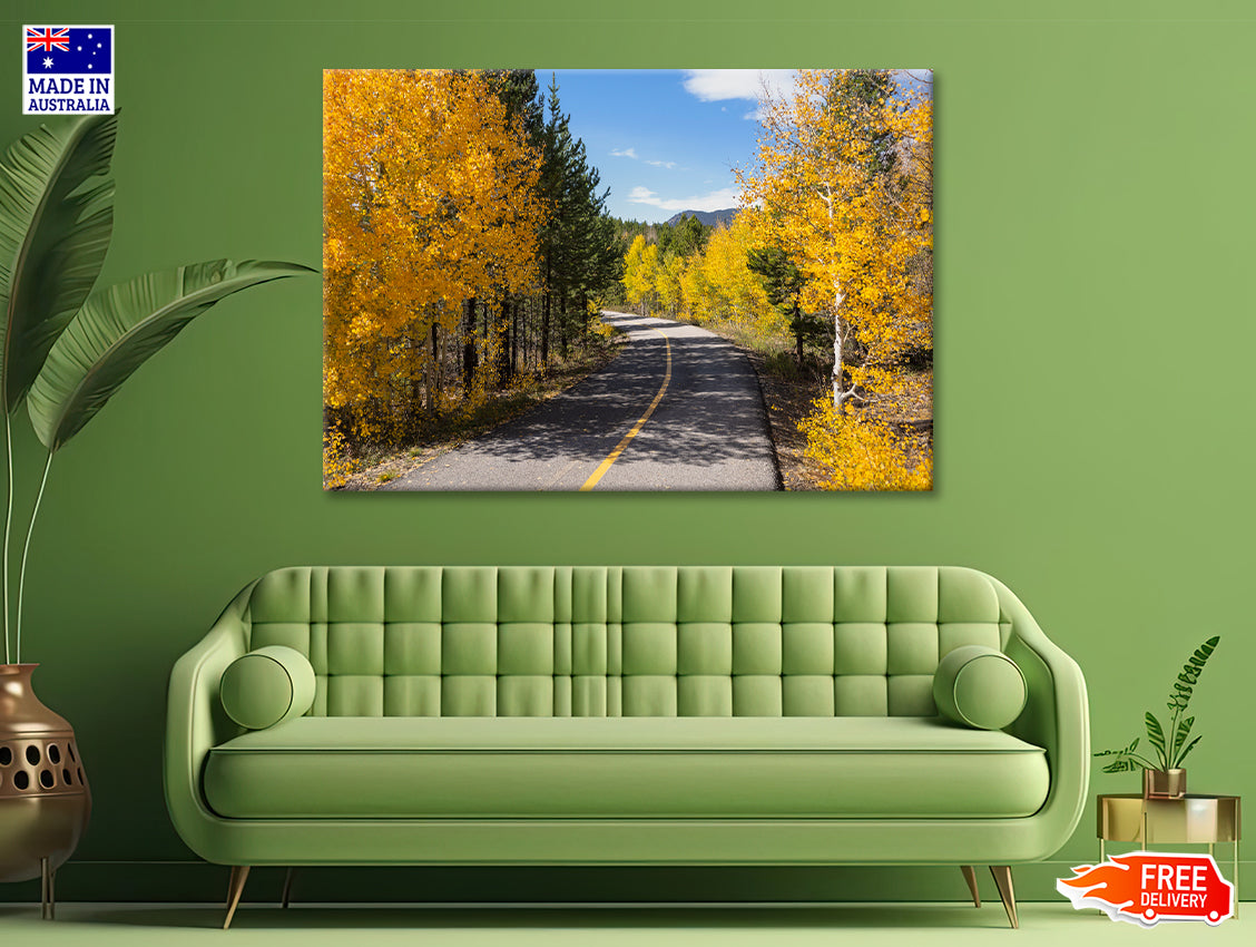 Yellow Aspens Trees in Colorado Print 100% Australian Made