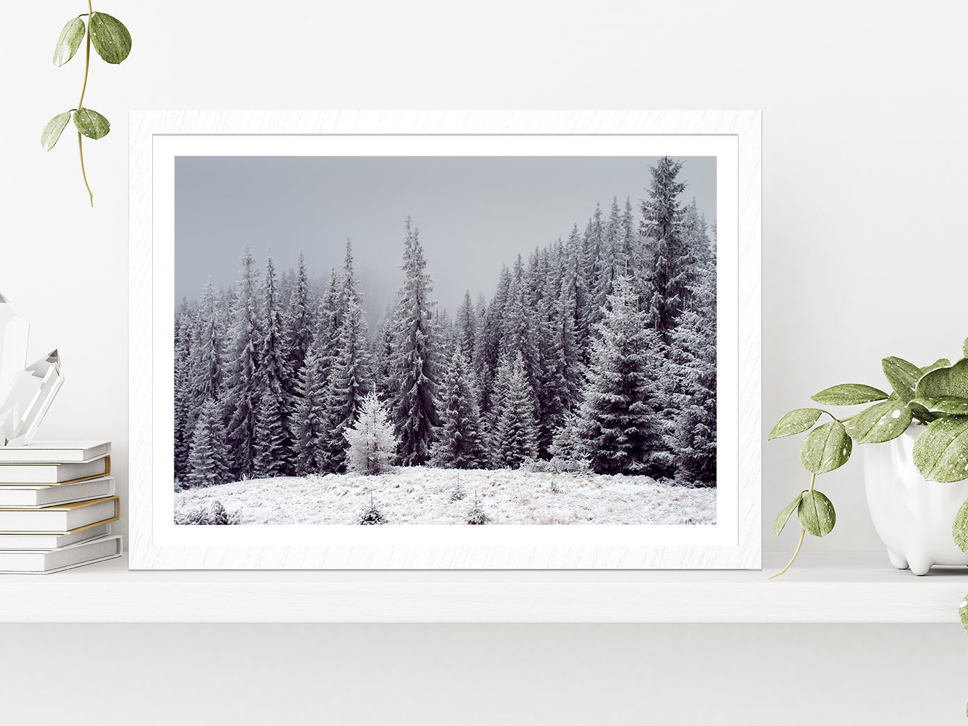 Trees Covered With Fresh Snow Glass Framed Wall Art, Ready to Hang Quality Print With White Border White