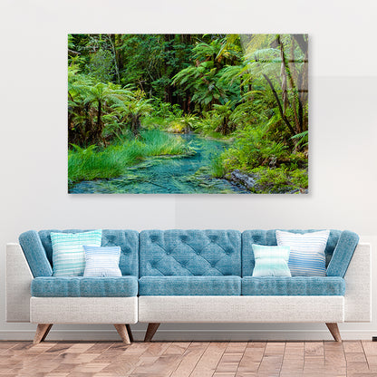 River in Whakarewarewa Forest Acrylic Glass Print Tempered Glass Wall Art 100% Made in Australia Ready to Hang