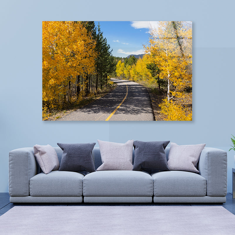 Yellow Aspens Trees in Colorado Acrylic Glass Print Tempered Glass Wall Art 100% Made in Australia Ready to Hang