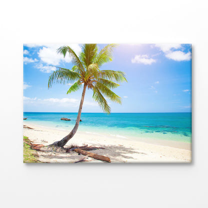 Bella Home Tropical Beach With Coconut Palm Print Canvas Ready to hang