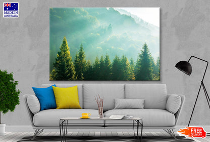 Wonderful Nature Background with Sunlight Wall Art Decor 100% Australian Made