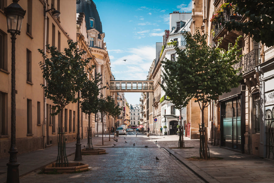 Pavement Street Of Paris In Summer Glass Framed Wall Art, Ready to Hang Quality Print