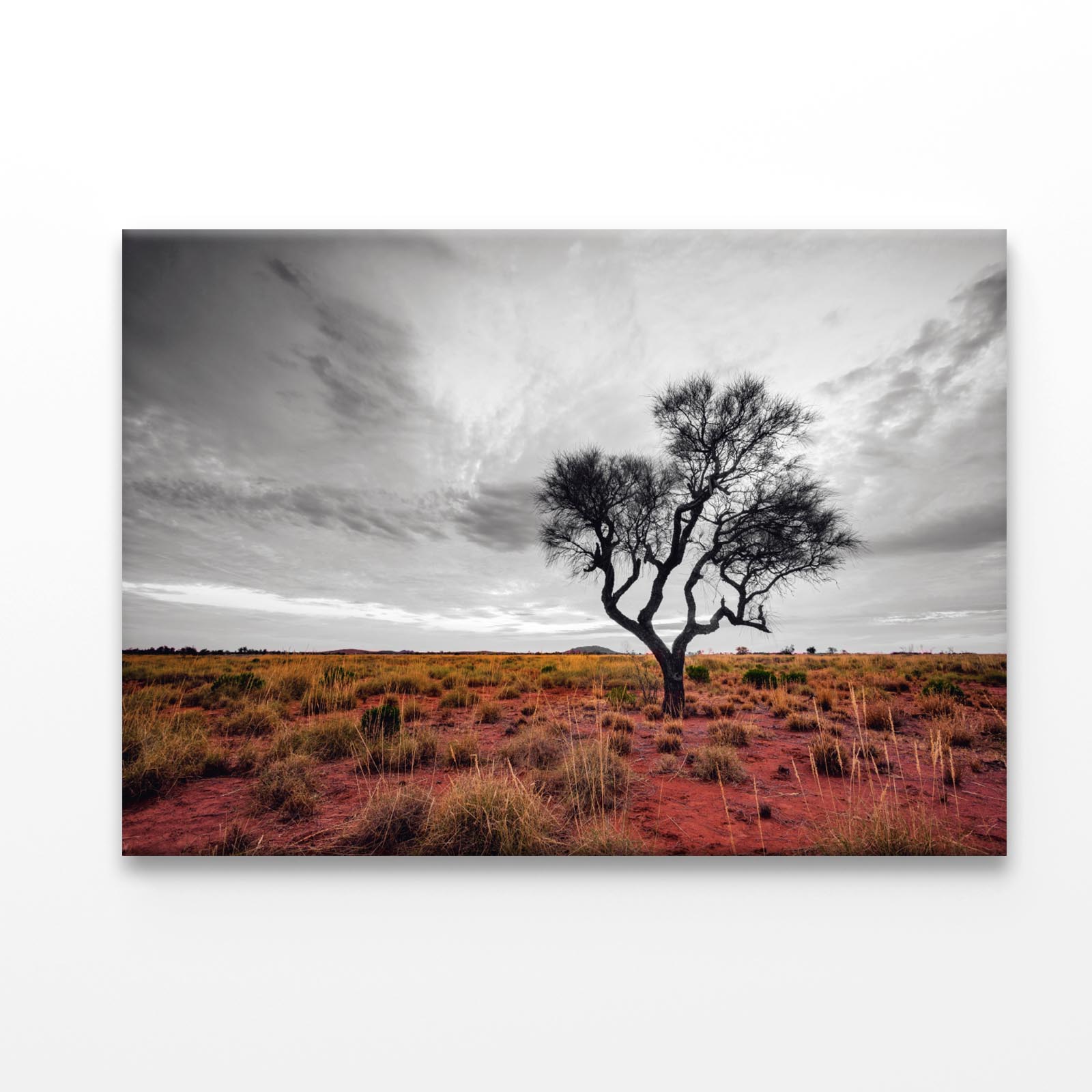 Australian Outback Acrylic Glass Print Tempered Glass Wall Art 100% Made in Australia Ready to Hang