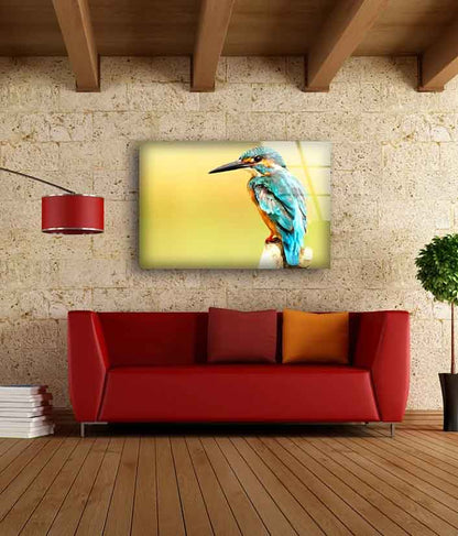 Kingfisher Bird Closeup UV Direct Aluminum Print Australian Made Quality