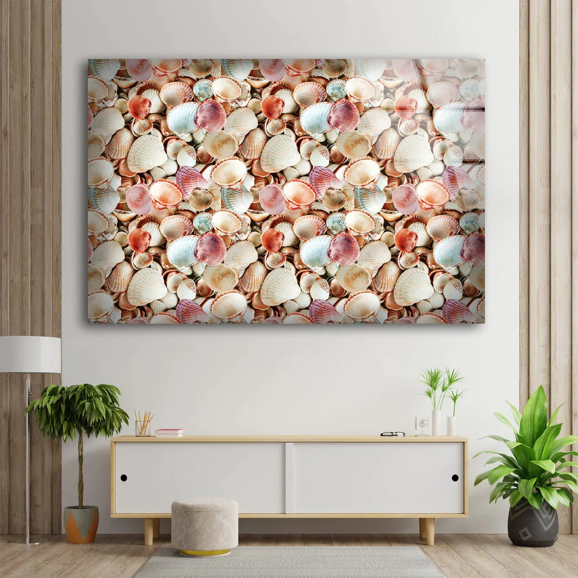 Sea Shells Photograph UV Direct Aluminum Print Australian Made Quality